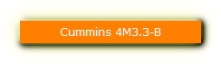 Cummins 4M3.3-B